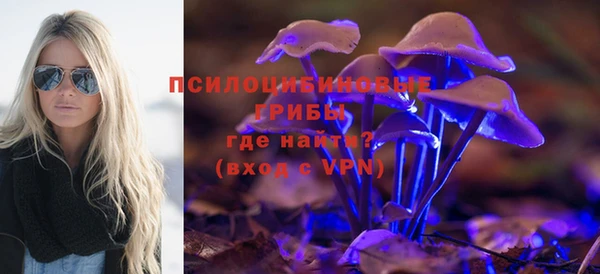 мескалин Новозыбков