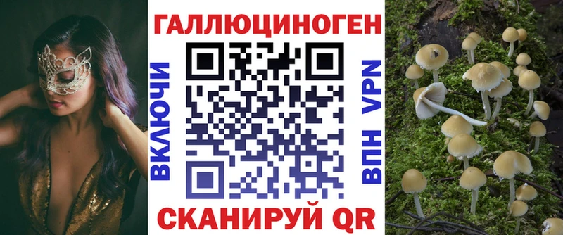 Галлюциногенные грибы Psilocybine cubensis  закладка  Ялта 